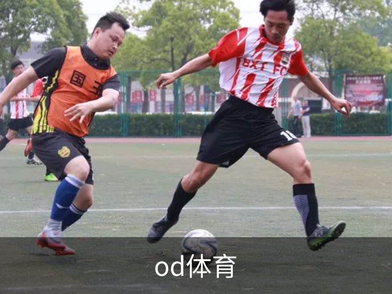 od体育概况